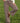 Brown Polka Dot Straight Leg Jeans