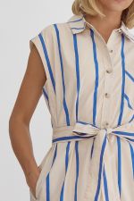 Striped Button Up Collared Dress